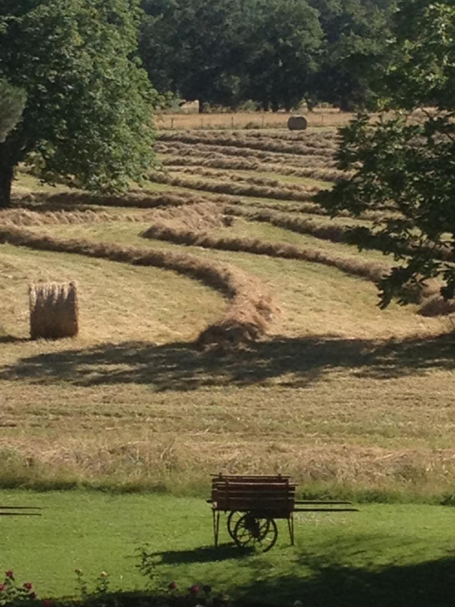 Domaine Du Buc, Le Chateau Marssac-sur-Tarn エクステリア 写真